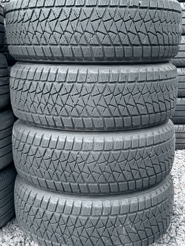 Bridgestone Blizzak DM-V2 225/55 18