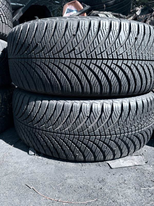Goodyear 4 Seasons Gen2 205/55 17