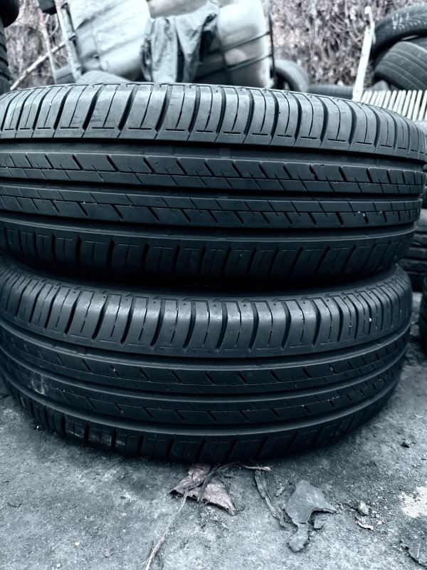 Bridgestone Ecopia 195/65 15