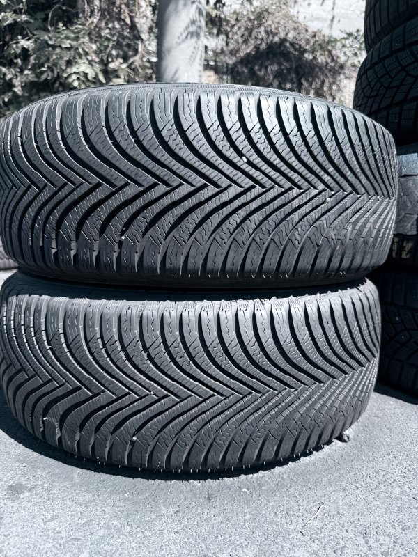 Michelin Alpin 5 205/50 17