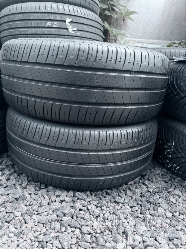 Bridgestone Ecopia 205/55 16