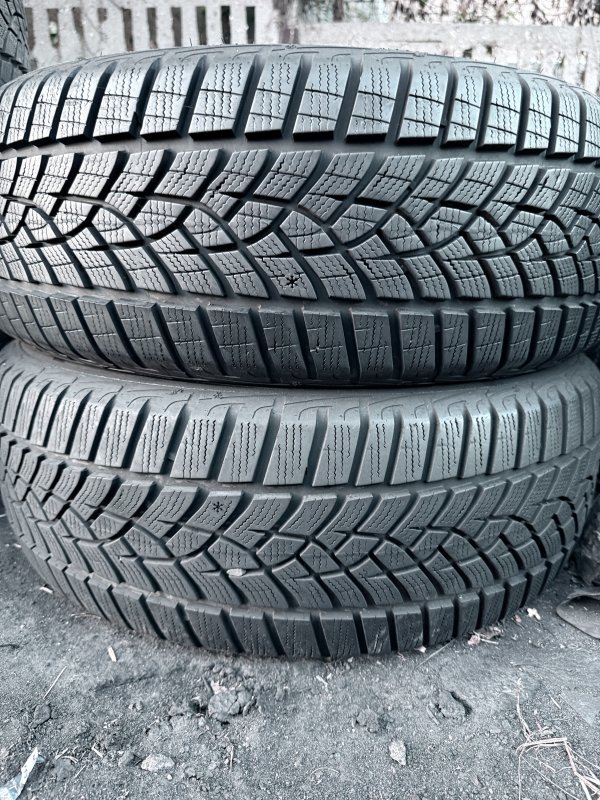 Goodyear Perfomance Gen 1 205/55 17