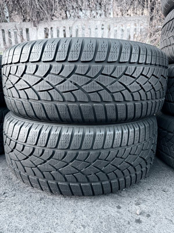 Dunlop Winter Sport 3D 225/50 18