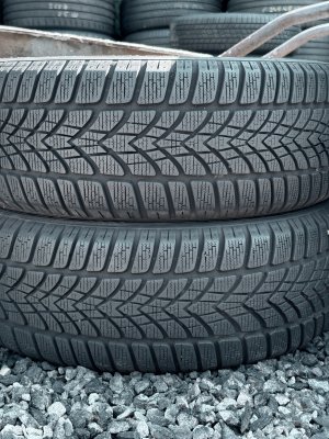 Dunlop WinterSport 4D 195/55 16