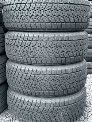 Bridgestone Blizzak DM-V2 225/55 18