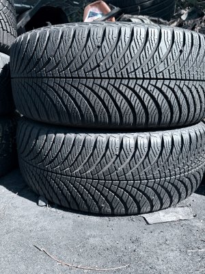 Goodyear 4 Seasons Gen2 205/55 17