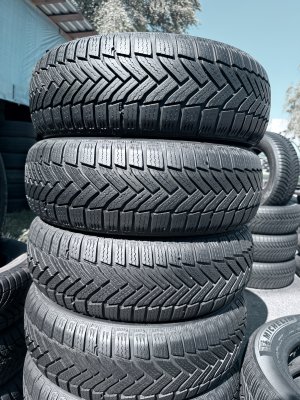 Michelin Alpin 6 195/60 15