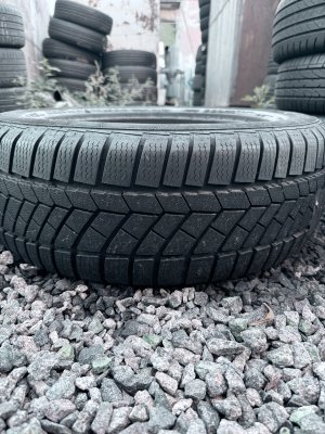 Continental TS830P 205/60 16