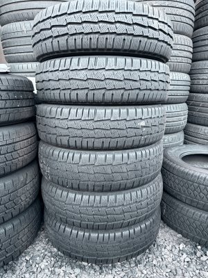 Michelin Agilis Alpin 195/75 16