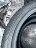 Goodyear Perfomance + 255/45 20 - фото 6