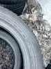 Dunlop Winter Sport 3D 205/55 16 - фото 6