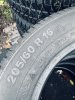 Continental TS830P 205/60 16 - фото 5
