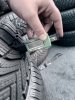 Michelin Alpin 6 215/60 17 - фото 4