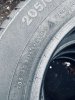 Continental TS830P 205/60 16 - фото 6